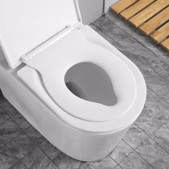 위생 도자기 세라믹 그릇 플래퍼 소프트 닫기 비데 어린이 길쭉한 높은 나무 제기 가열 장애인 PP 플라스틱 느린 닫기 변기